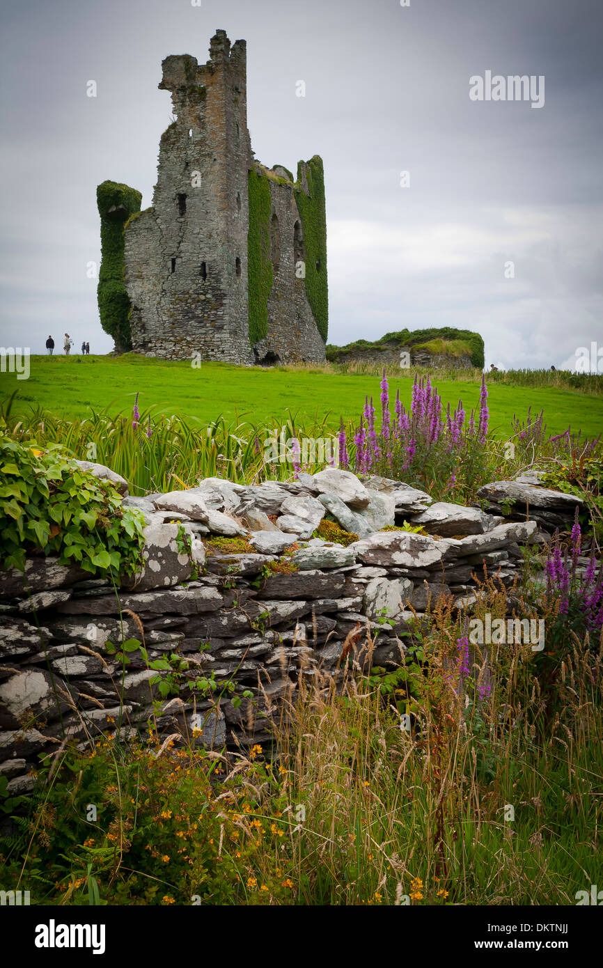 Ballycarbery castle. caherciveen. Anello di Kerry. contea di Kerry, Irlanda, Europa. Foto Stock
