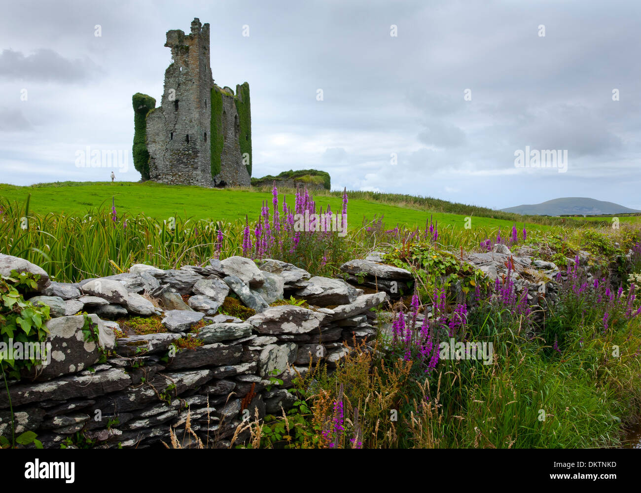 Ballycarbery castle. caherciveen. Anello di Kerry. contea di Kerry, Irlanda, Europa. Foto Stock