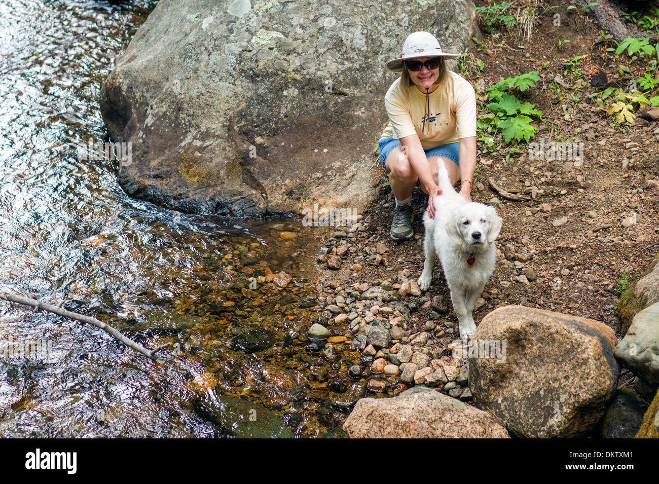 Donna e quattro mesi di color platino Golden Retreiver cane, Sud Fooses Creek, montagne rocciose, Colorado, STATI UNITI D'AMERICA Foto Stock