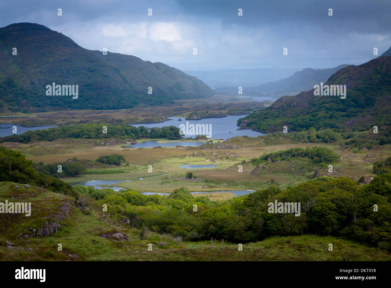I laghi di Killarney dal ladies view. Parco nazionale di Killarney. contea di Kerry, Irlanda, Europa. Foto Stock