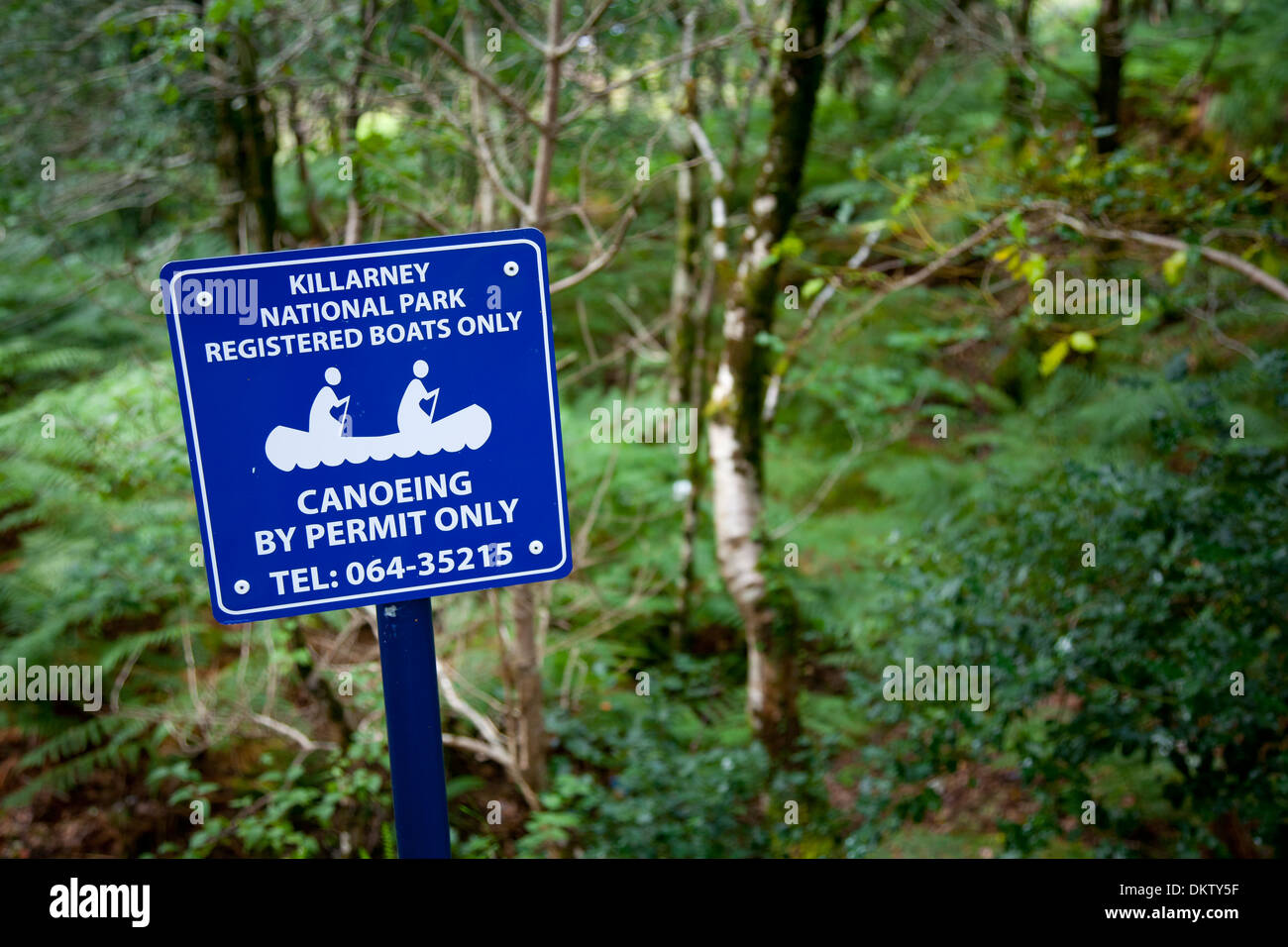 Parco Nazionale di Killarney. Contea di Kerry, Irlanda, Europa. Foto Stock