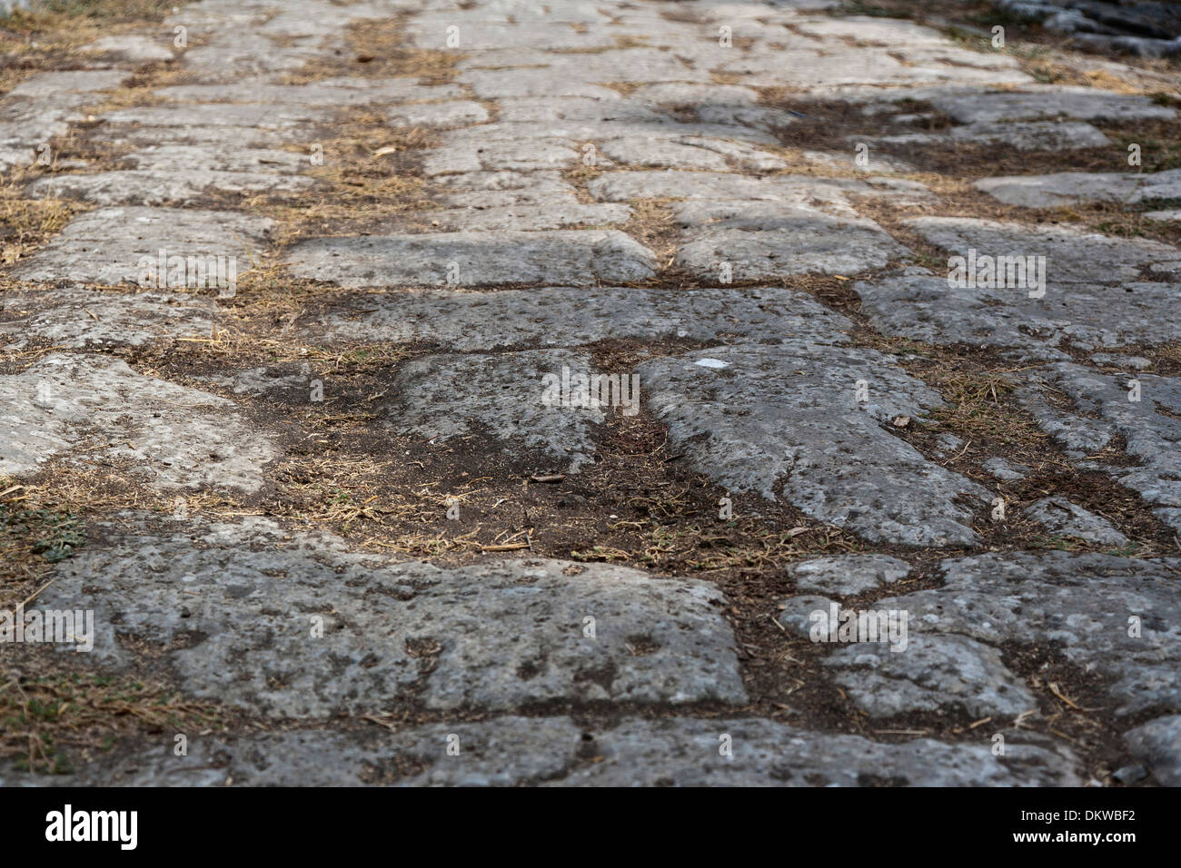 Kos Archeologia Archeologia park di scavo del sito di scavo di canali di guida corsie grecia Europa porto isola pareti parete Mare Foto Stock