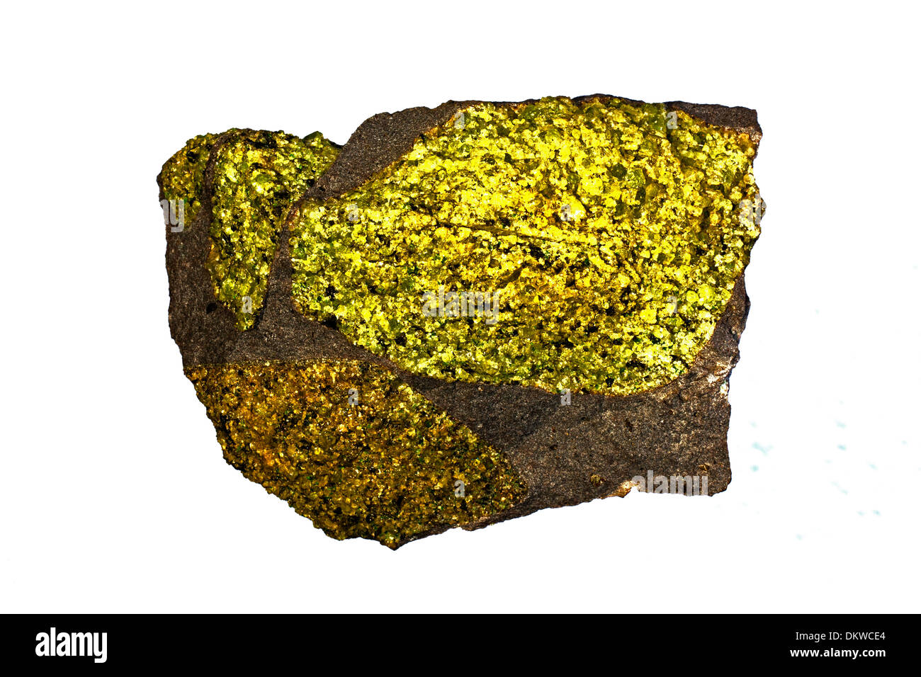 Olivina in basalto, San Carlos Apache prenotazione, Arizona, questo materiale ha avuto origine nella terra del mantello,frazionato da lava Foto Stock