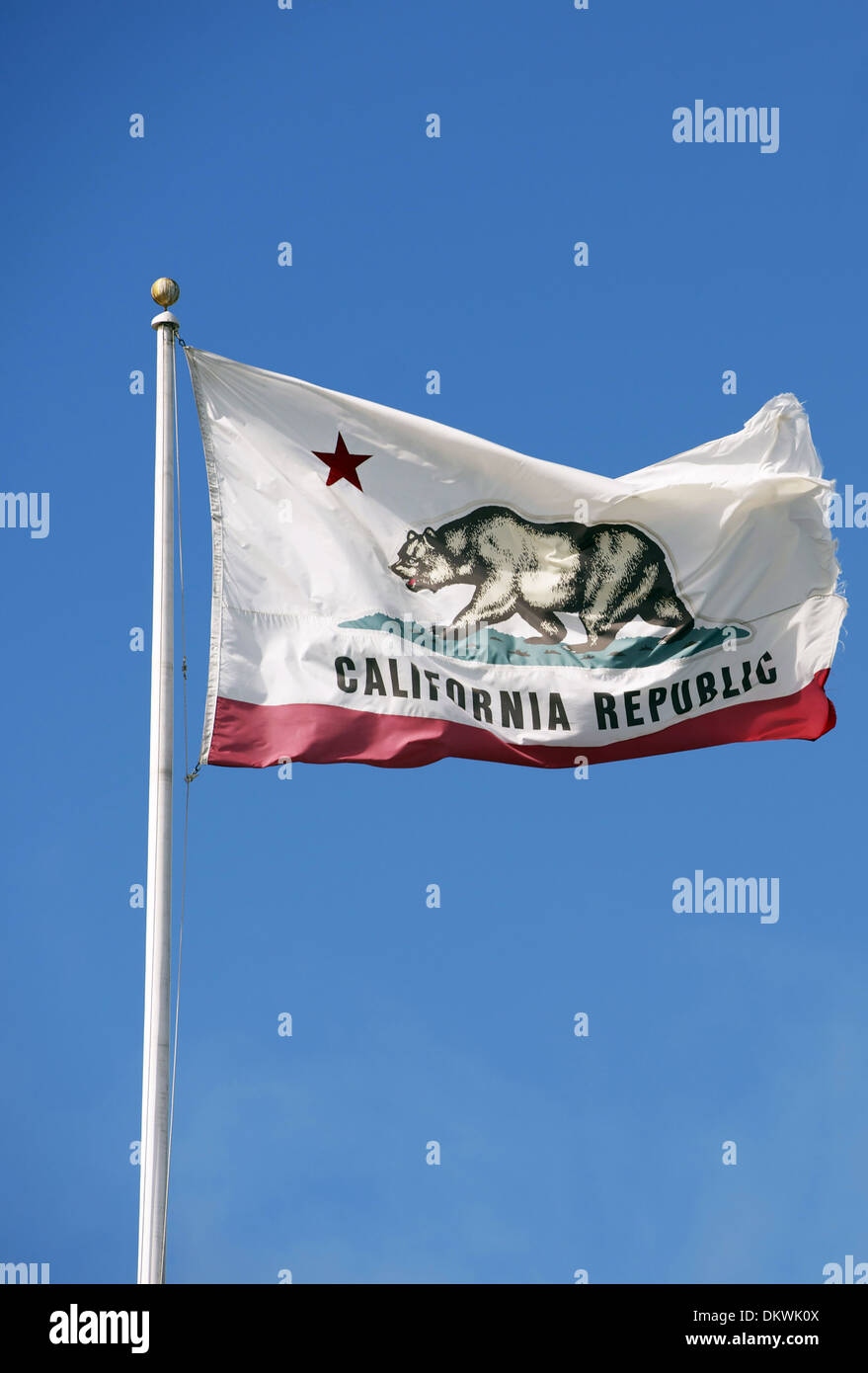 Repubblica della California bandiera su un palo. Cielo blu chiaro in uno sfondo. California Raccolta foto. Foto Stock