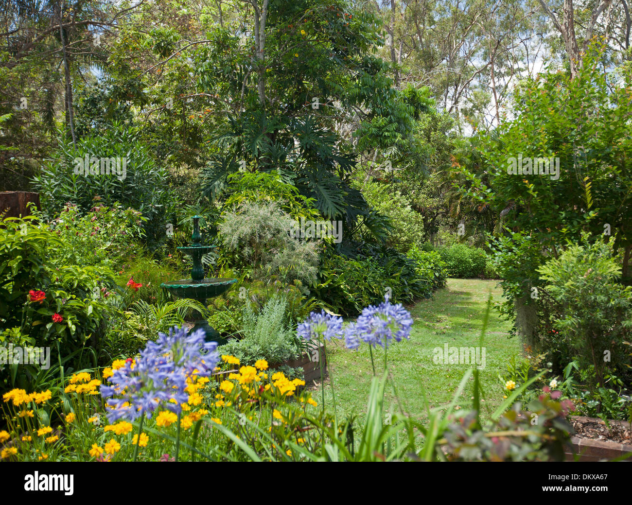 Spettacolare sub-tropicale giardino cottage - decorative fontana, Smeraldo fogliame, arbusti, piante perenni, prato Foto Stock