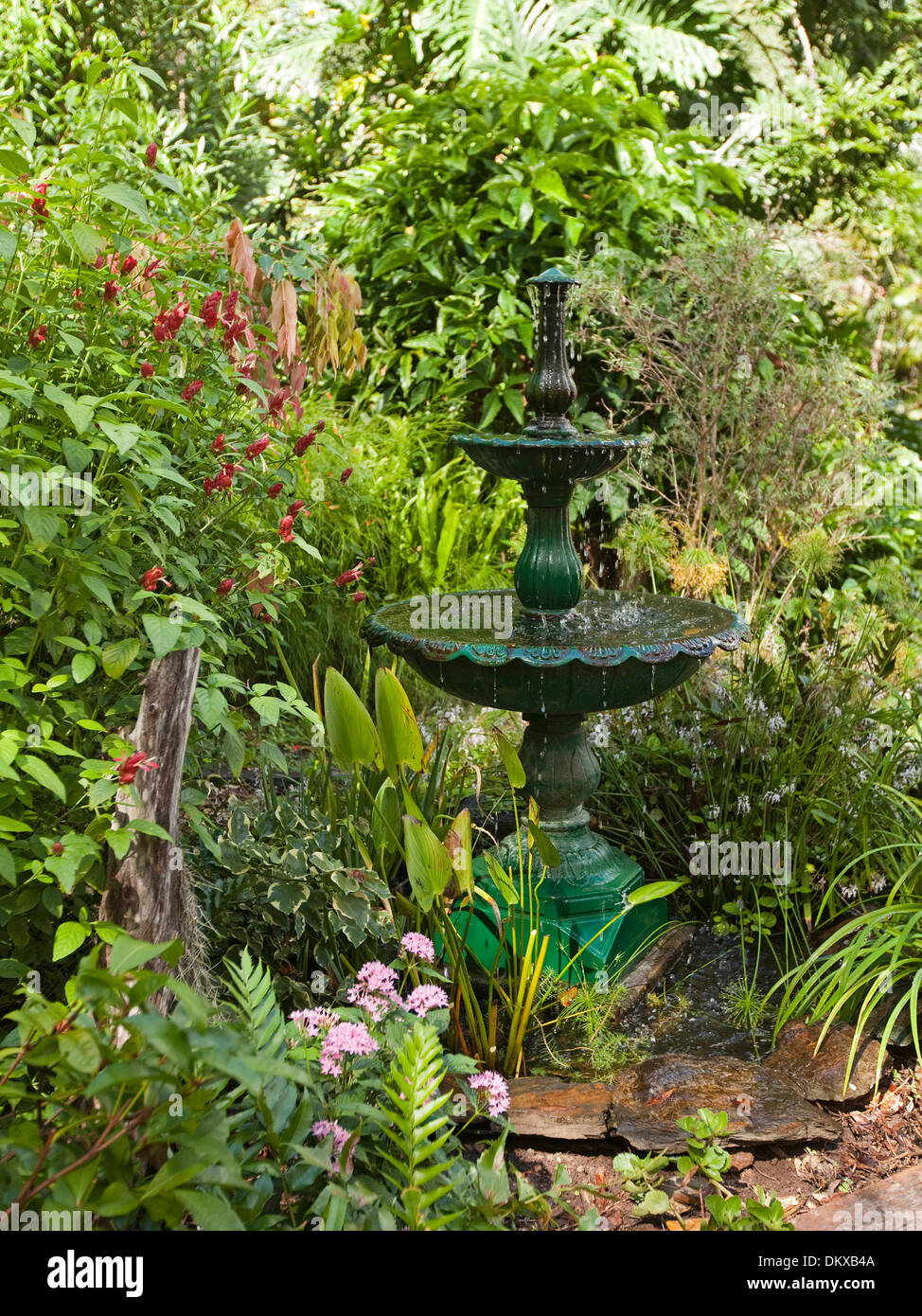 Spettacolari e lussureggianti sub-tropicale giardino con fontana decorativa acqua caratteristica, fogliame color smeraldo, arbusti e piante perenni Foto Stock