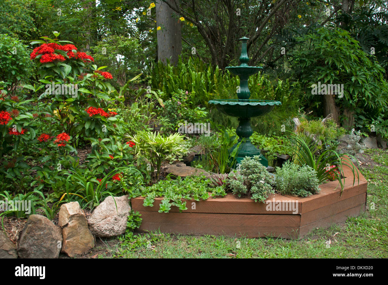 Giardino sub-tropicale con un fitto di alberi, arbusti e fiori colorati che circondano la funzione acqua / laghetto ornato di fontana Foto Stock