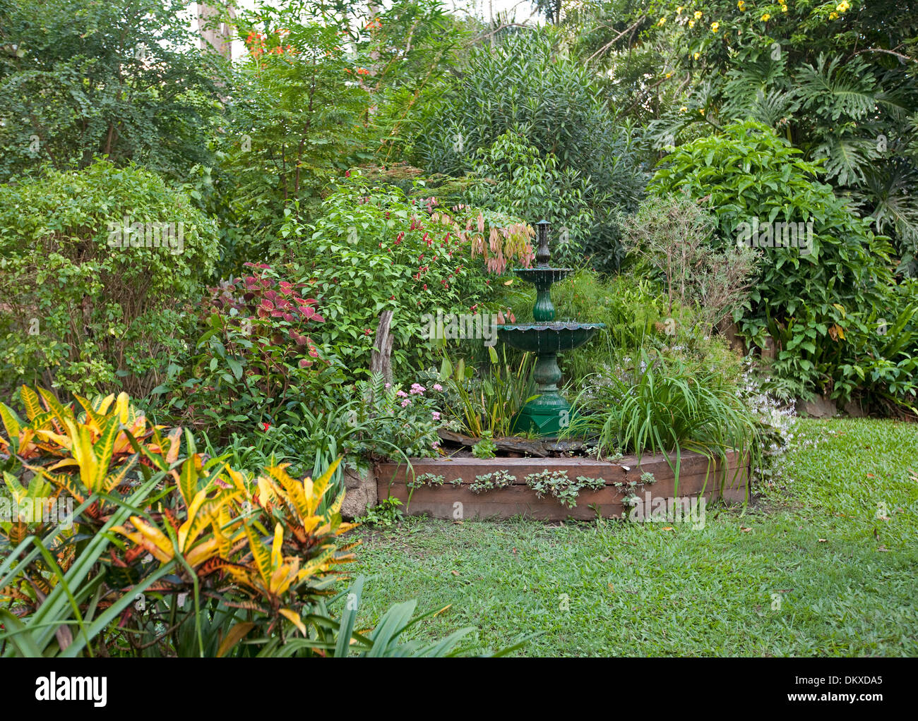 Giardino sub-tropicale con fitta emerald alberi, arbusti, fiori colorati che circondano la funzione acqua / laghetto con fontana e prato Foto Stock
