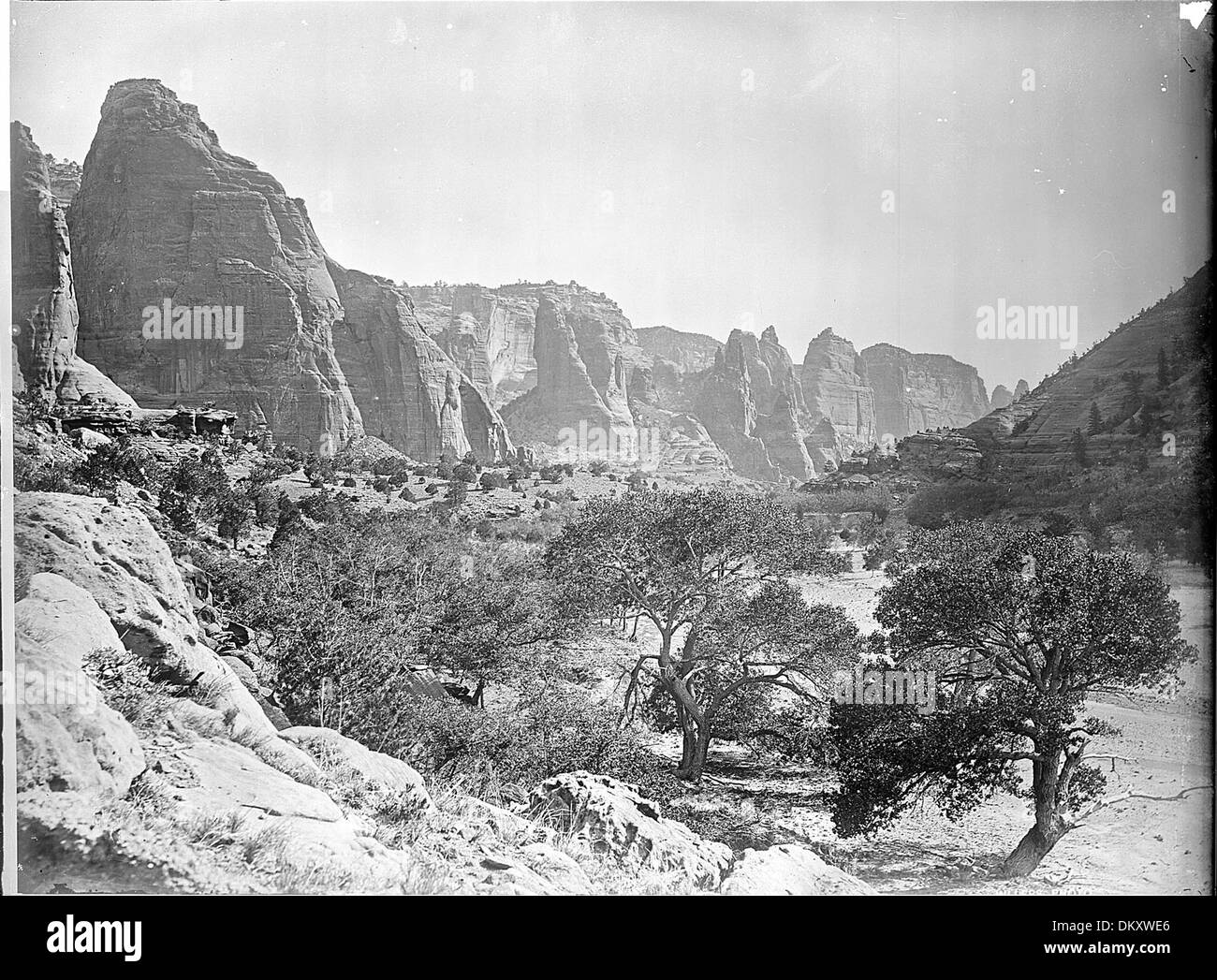 (Vecchia n. 118) De Chelly Valley, Arizona, Apache County. (Bellissimi alberi di grandi dimensioni nella valle)., 1871 - 1878 517766 Foto Stock
