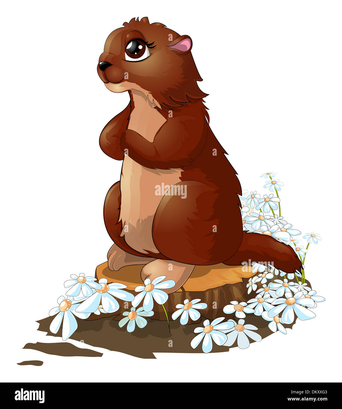 Marmotta contro i fiori Foto Stock