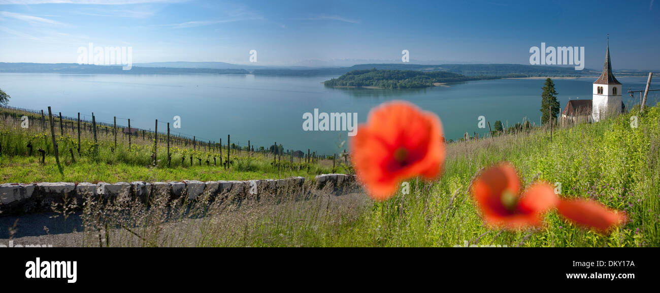 La Svizzera, Europa, Canton Berna, villaggio, Ligerz, il Lago di Biel, isola, isola, Peter island, chiesa, religione, panorama, sul lago Foto Stock