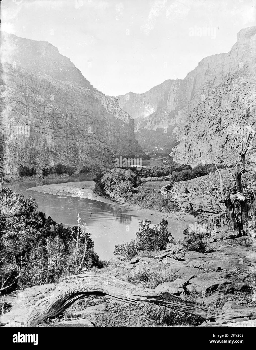 Una vista ravvicinata del ramo di Ashley Fork, che mostra i marcatori storici n. 491, 492 e 493, dal 1871 al 1878, che documentano lo sviluppo dell'area. Foto Stock