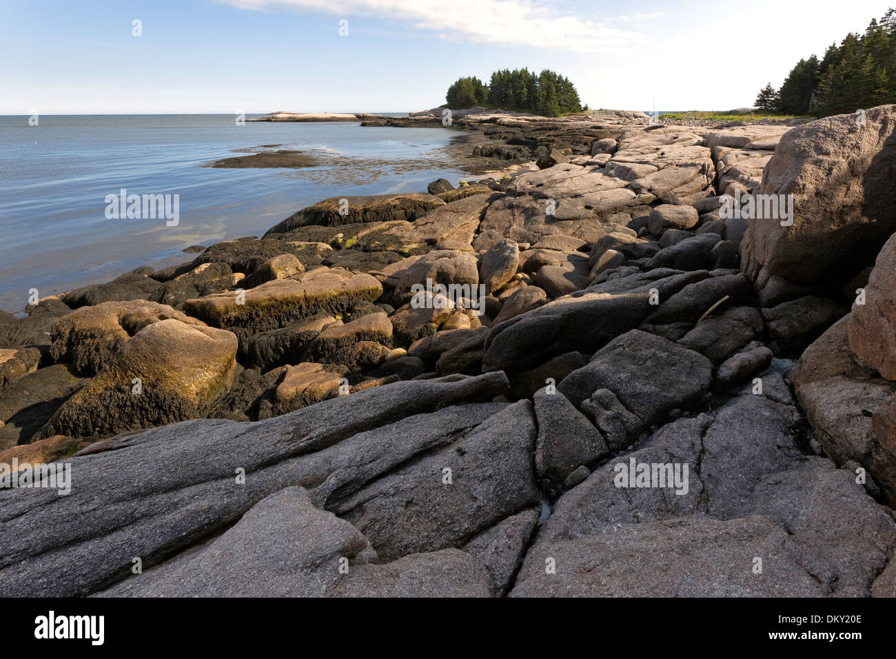 Grande Isola Wass preservare, Maine Foto Stock