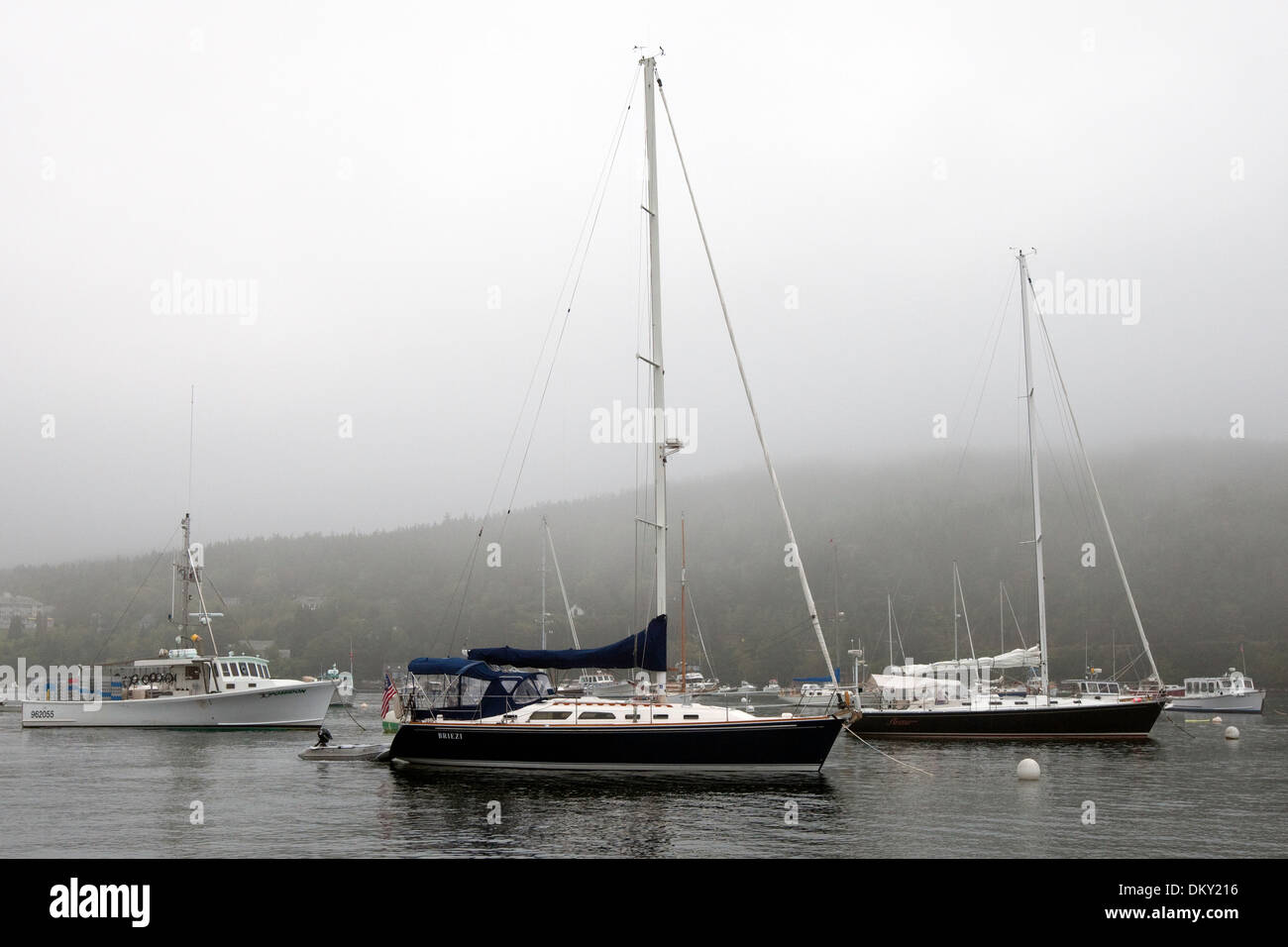 Barche a vela ormeggiata in porto a nordest, Maine Foto Stock