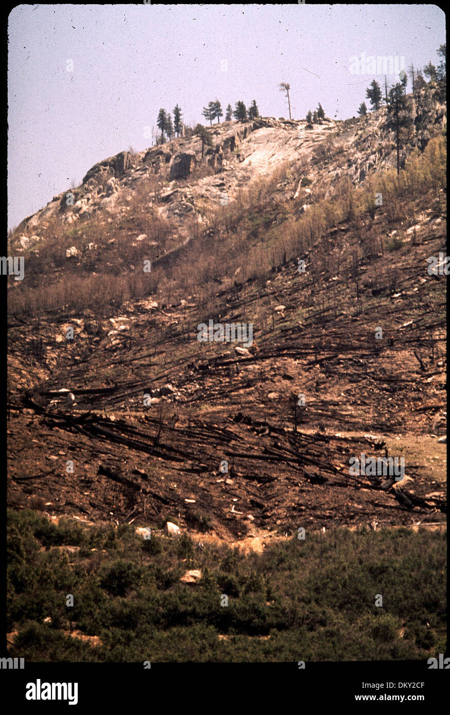 La Sierra National Forest della California, situata tra le montagne della Sierra Nevada, offre diversi ecosistemi e opportunità ricreative per gli appassionati di attività all'aperto. Foto Stock