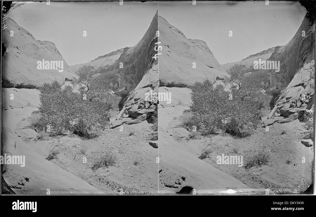 Una fotografia del Glen Canyon, che mostra i vecchi numeri 298, 400, 409 e 840, che possono fare riferimento a siti o strutture specifici all'interno del canyon, illustrando la sua bellezza naturale e il suo significato storico. Foto Stock