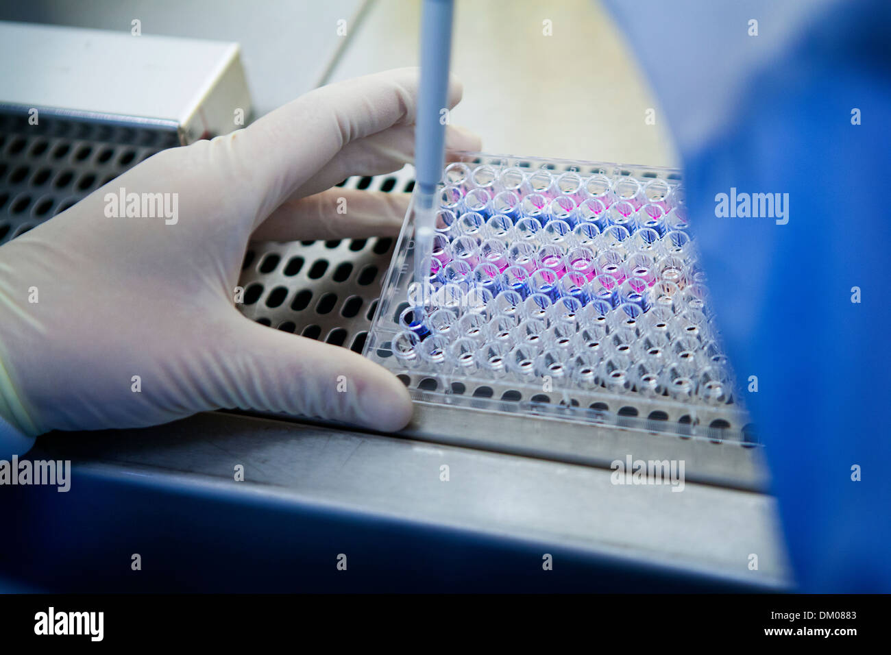 RICERCA SUL CANCRO Foto Stock