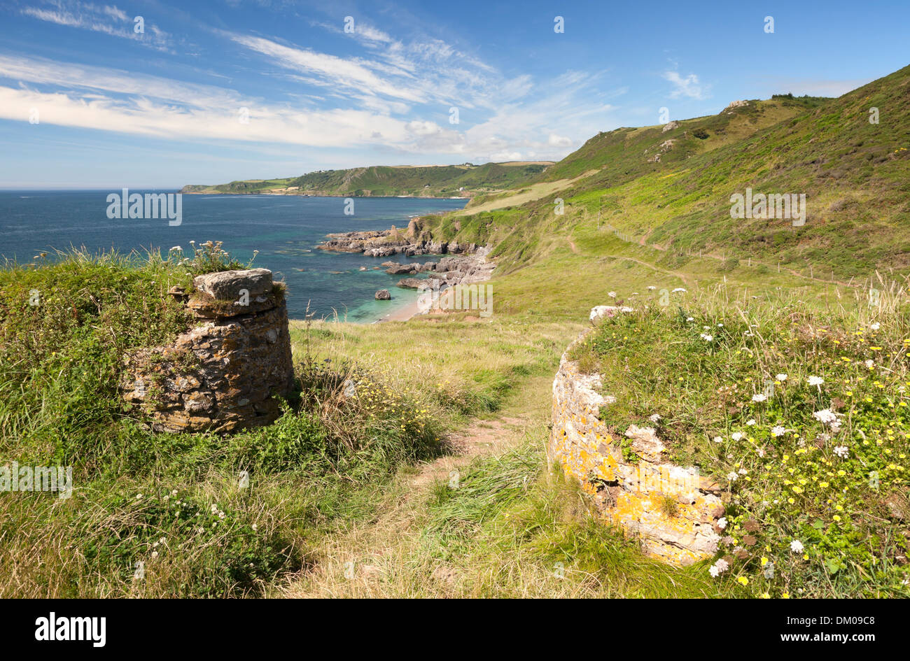 Le antiche pareti di pietra e fiori selvaggi vicino grande Mattiscombe sabbia, Devon, Inghilterra. Foto Stock