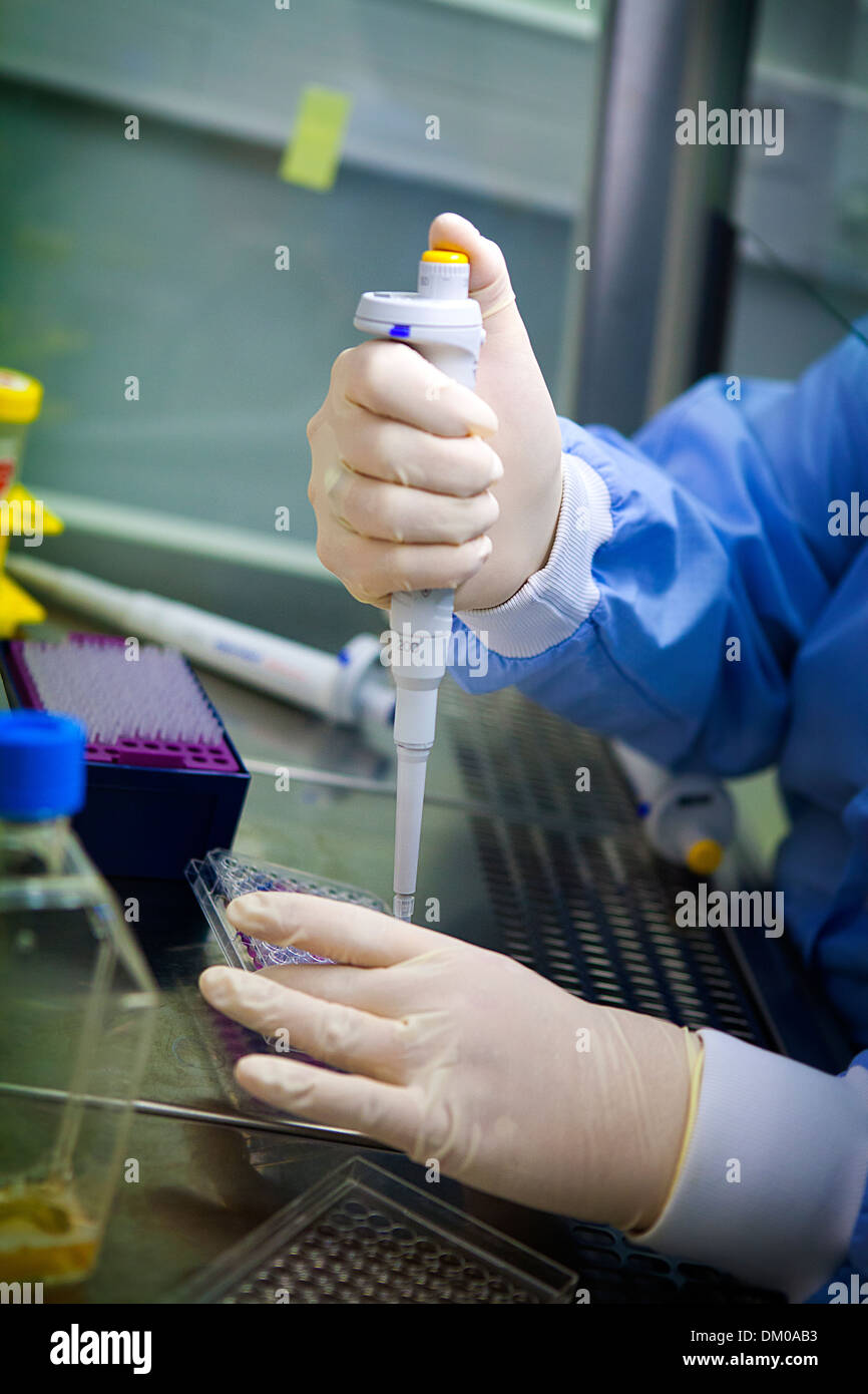 RICERCA SUL CANCRO Foto Stock