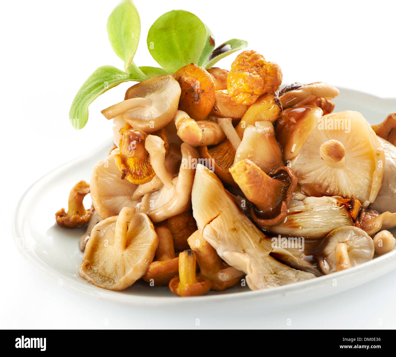 Fresca sana e gustosa insalata di funghi con tutti i tipi di funghi Foto Stock