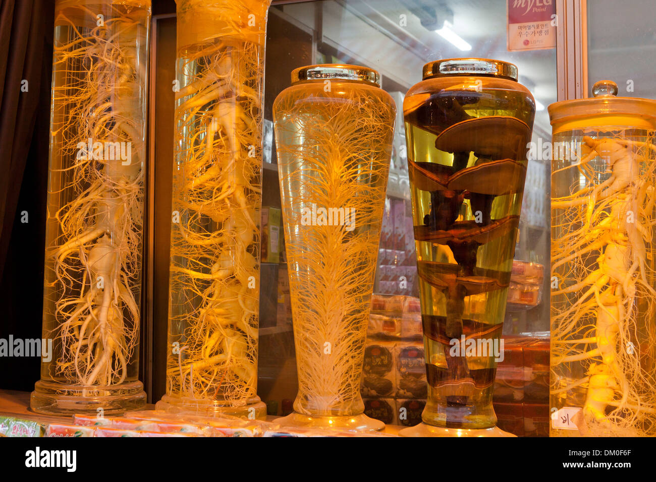 Insamju - Tradizionale Coreano alcol medicinale fatta con il ginseng e yungji (lingzhi) funghi - Seoul, Corea del Sud Foto Stock
