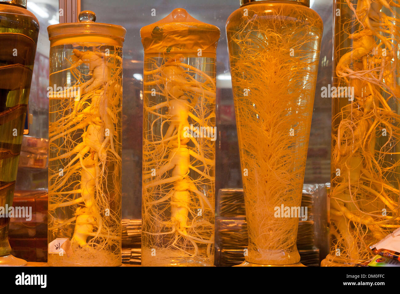 Insamju - Tradizionale Coreano alcol medicinale fatta con ginseng - Seoul, Corea del Sud Foto Stock