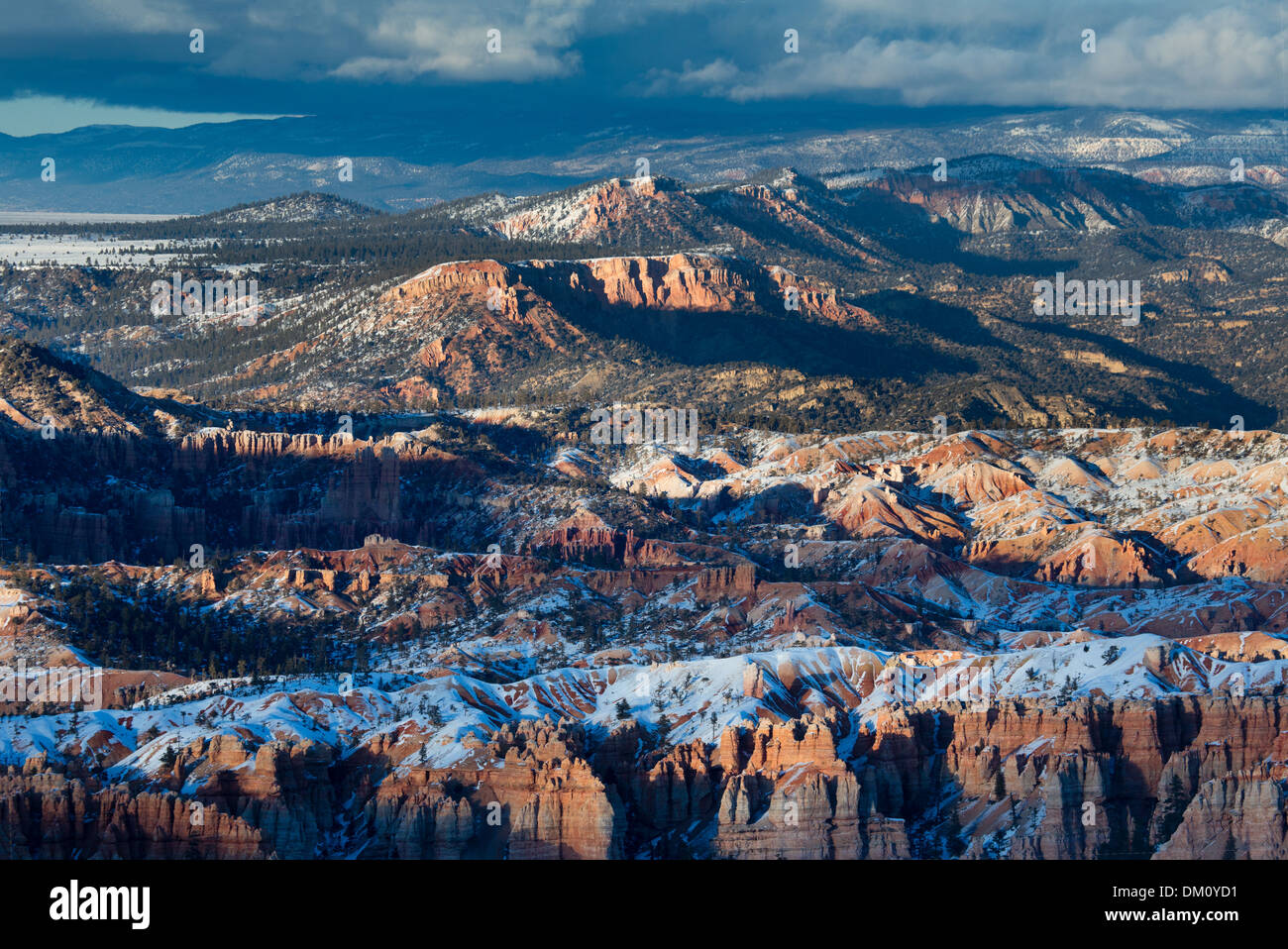 Ultima luce sulla hoodoos di Bryce Canyon dello Utah, Stati Uniti d'America Foto Stock