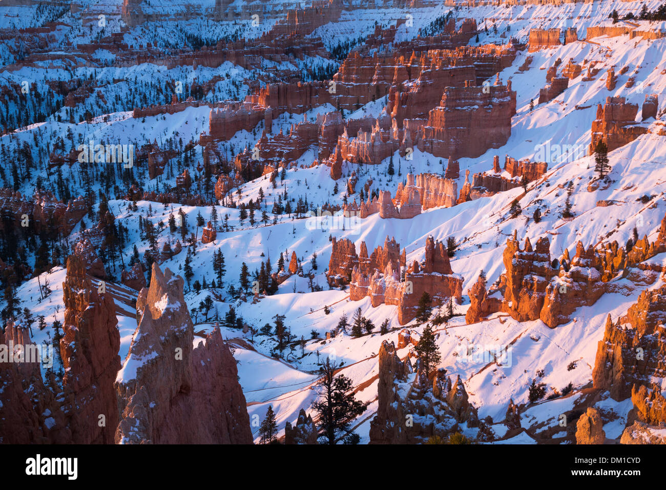 Le hoodoos in inverno, Bryce Canyon dello Utah, Stati Uniti d'America Foto Stock