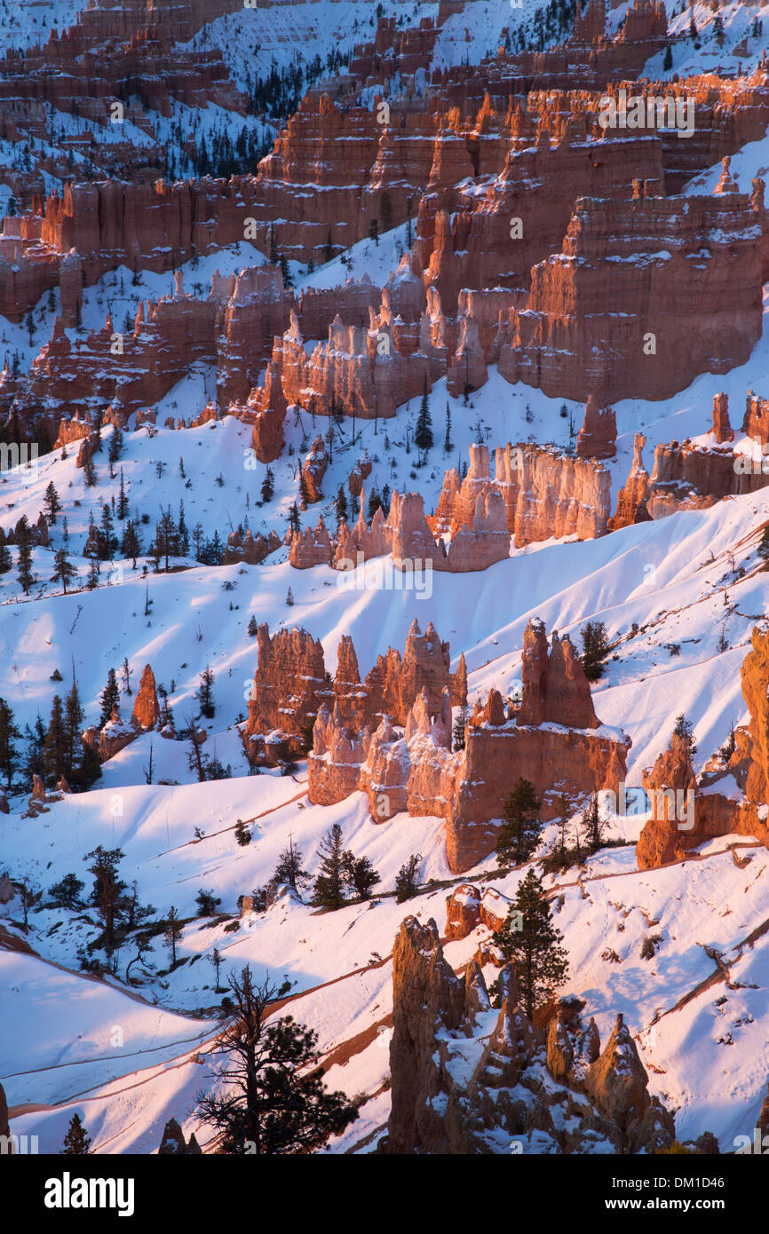 Le hoodoos in inverno, Bryce Canyon dello Utah, Stati Uniti d'America Foto Stock