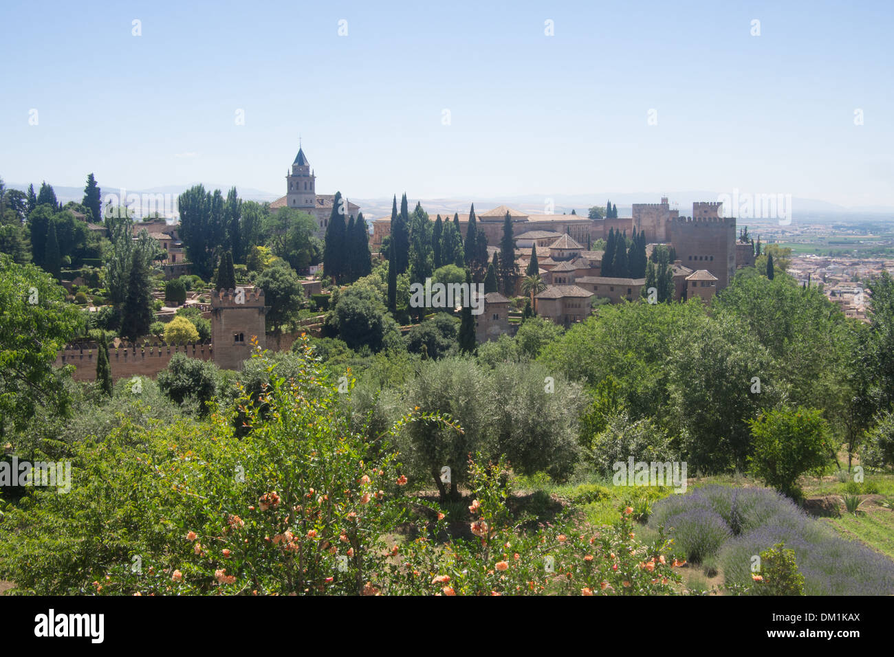 Vista da i giardini di Generalife verso il palazzo principale e fort area dell'Alhambra di Granada, Andalusia, Spagna Foto Stock