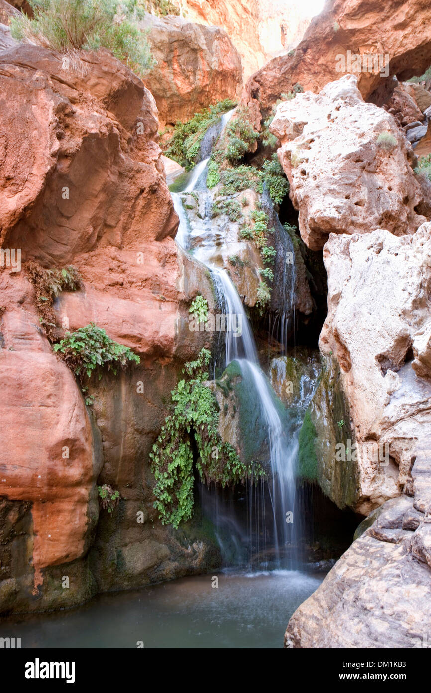 Una piccola cascata in un canyon laterale nel Grand Canyon Foto Stock