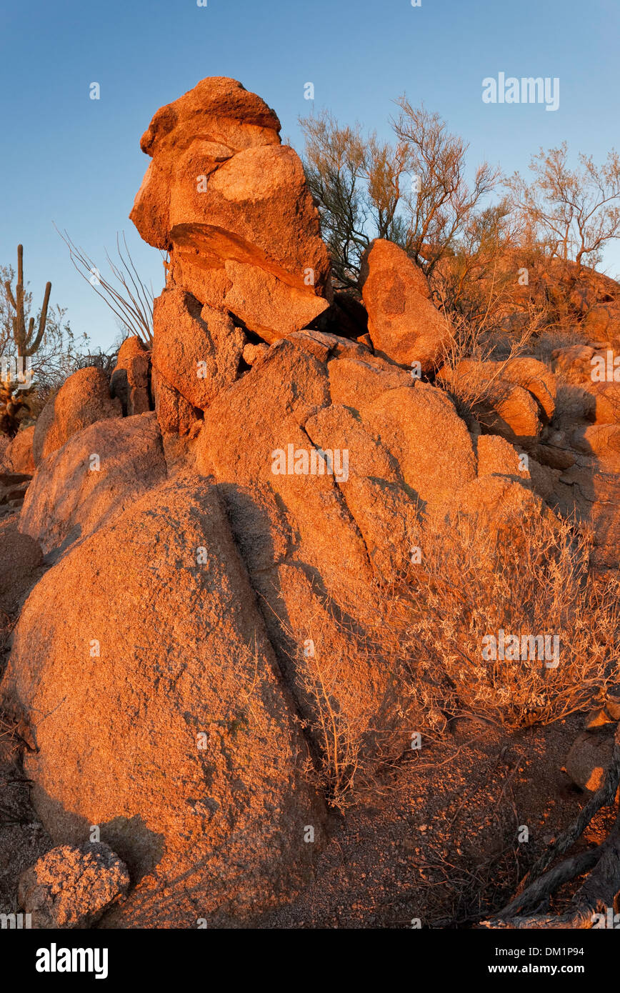 Rocce illuminato dagli ultimi raggi di sole, ad ovest del Saguaro National Park, Tucson, Arizona Foto Stock