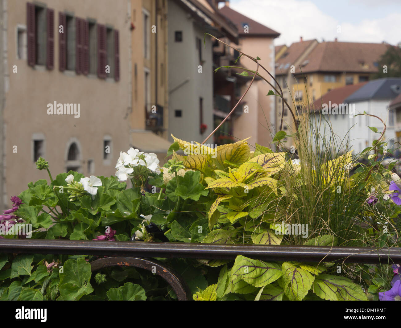 La città vecchia di Annecy Francia, una miscela di vecchie case pittoresche, canali, ponti e fiori in estate Foto Stock