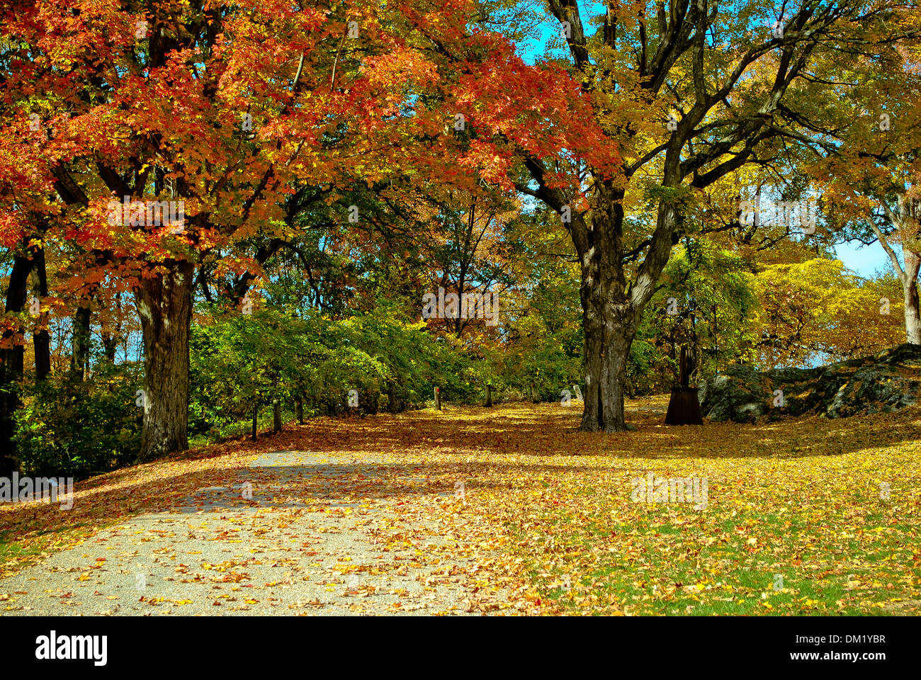 Passeggiata nel parco. Foto Stock