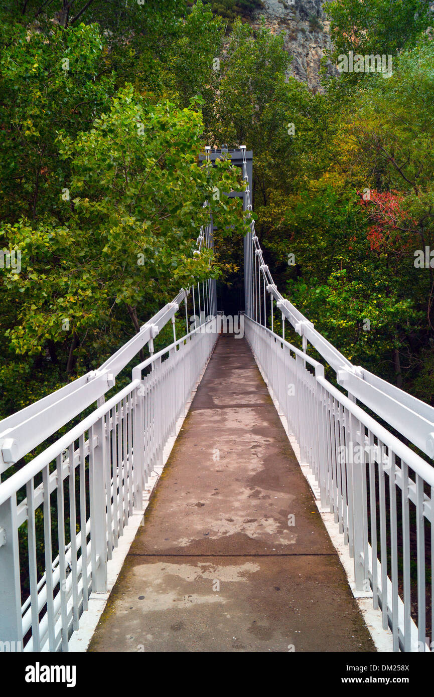 Paesaggio autunnale e colorati di foglie sugli alberi, mattina presso il fiume dopo la notte piovosa. Foto Stock