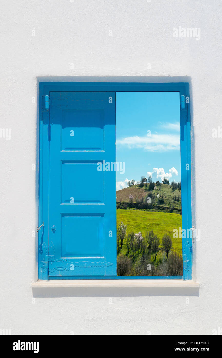 La molla tarassaco prato verde e alberi visti attraverso la finestra Foto Stock