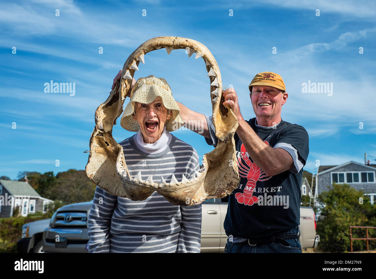 La donna pone con osso mandibolare di un grande squalo bianco, Menemsha, Martha's Vineyard, Massachusetts, STATI UNITI D'AMERICA Foto Stock