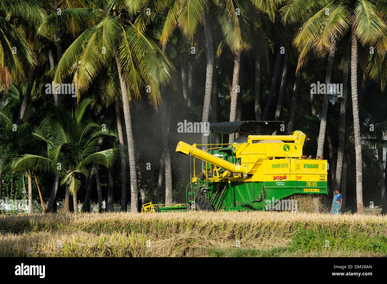 Indian mietitrebbia la mietitura del riso raccolto. Andhra Pradesh, India Foto Stock