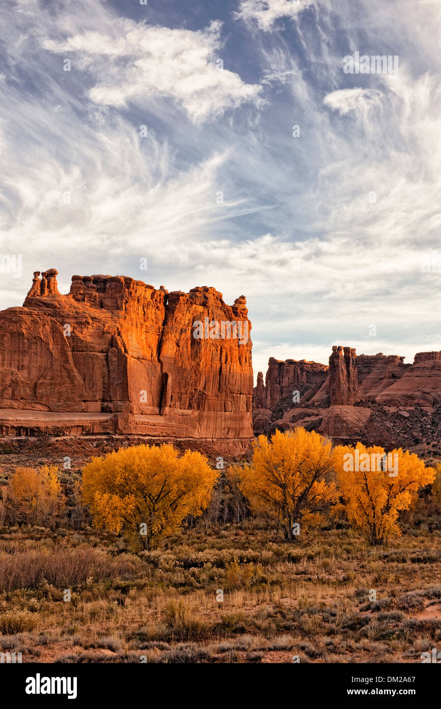 Ultima luce su oro di autunno pioppi neri americani alberi lungo Courthouse lavare in Utah Arches National Park. Foto Stock