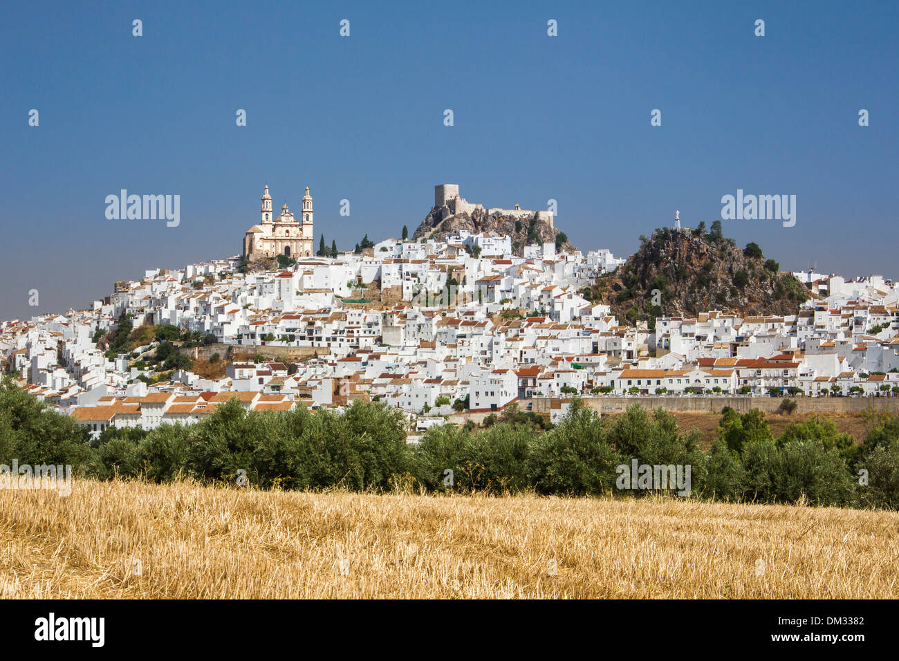 Cadice, incarnazione, Olvera, Andalusia, castello, chiesa, villaggio, pueblo, skyline, Spagna Foto Stock