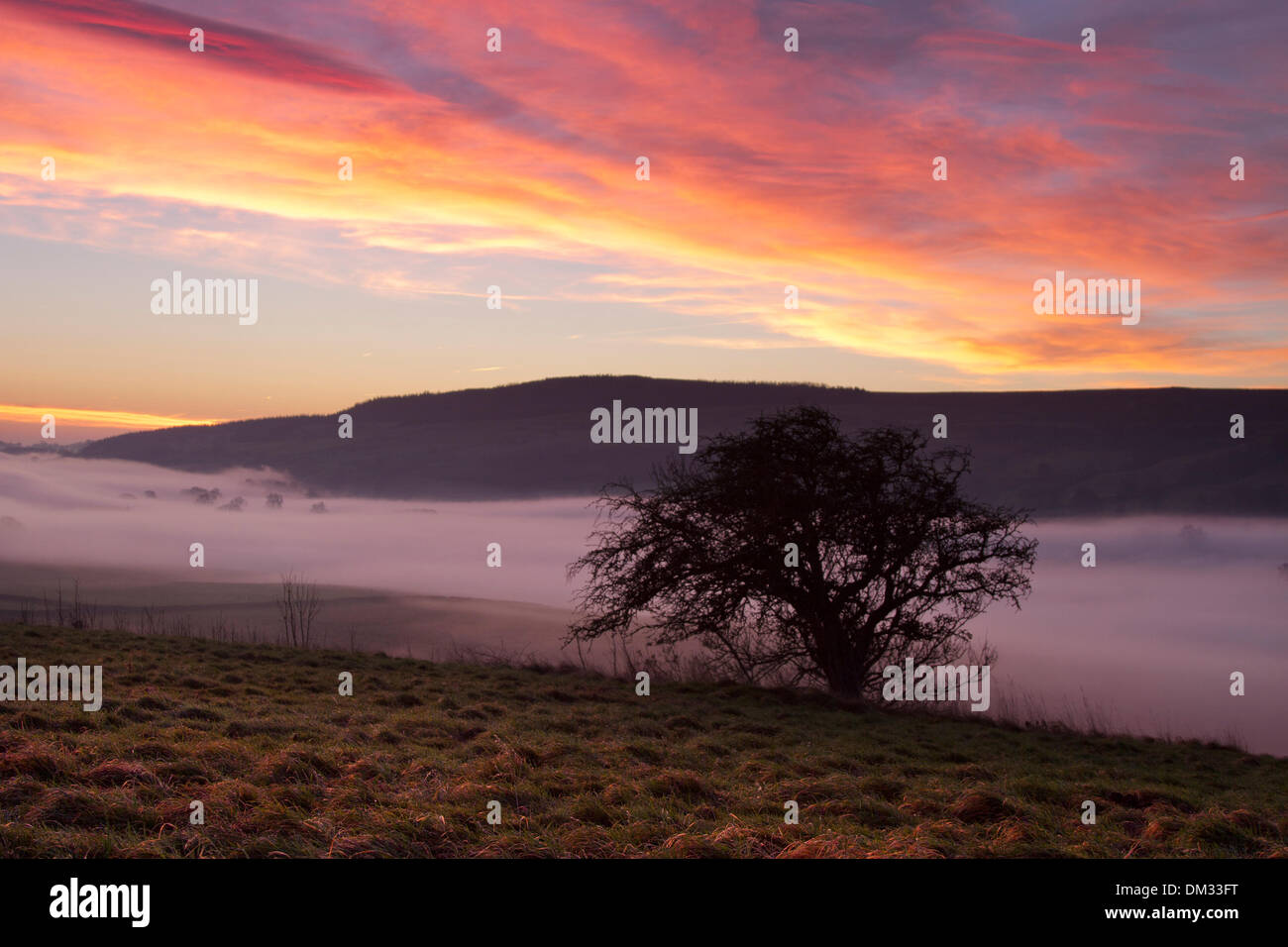 Middleham, nello Yorkshire, Regno Unito. 11 dicembre 2013. La mattina presto il meteo a Alba con nebbia, nebbia e strato di inversione. Alba sulle brughiere a nord Yorkshire Dales. Una inversione di temperatura è un fenomeno meteorologico in cui la temperatura dell'aria aumenta con altezza per una certa distanza al di sopra del terreno, rispetto alla normale al diminuire della temperatura con altezza. Foto Stock