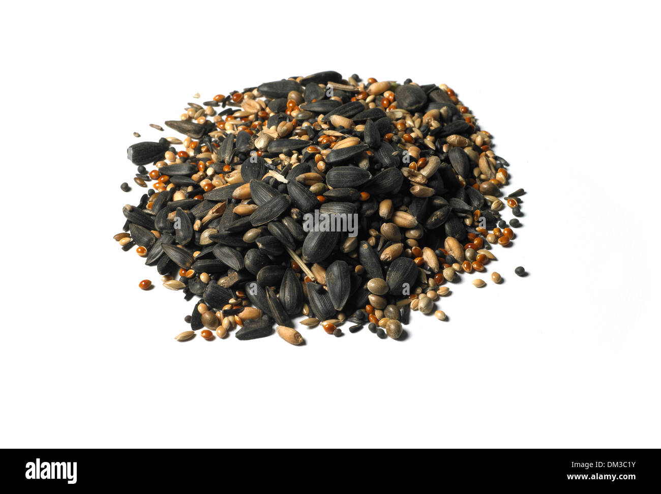 Finch bird mix di semi di tagliare lo sfondo bianco Foto Stock