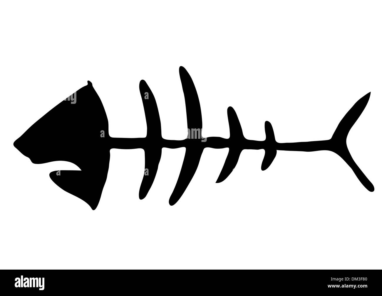 Scheletro di pesce - fishbones - vettore Illustrazione Vettoriale