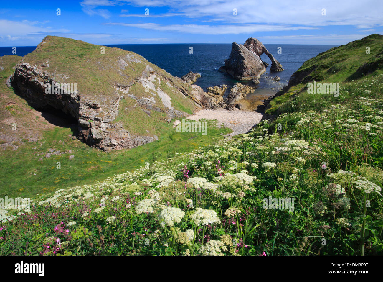 Arco curve di fiori di prua prua Fiddle Fiddle roccia cliff spring acqua Gran Bretagna Europa costa scogliere sul mare paesaggio Moray Foto Stock