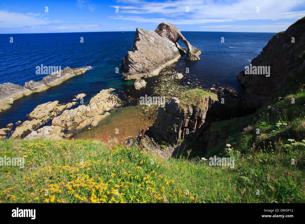 Arco curve di fiori di prua prua Fiddle Fiddle roccia cliff spring acqua Gran Bretagna Europa costa scogliere sul mare paesaggio Moray Foto Stock