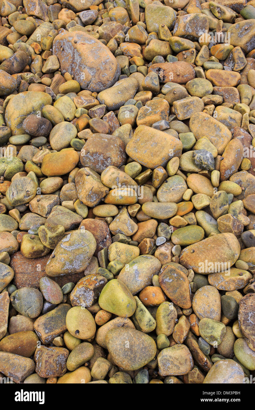 Dettaglio erosione forma forme forme rock Gran Bretagna Europa costa di sfondo il mare di massa quantità folla natura pattern nord Foto Stock