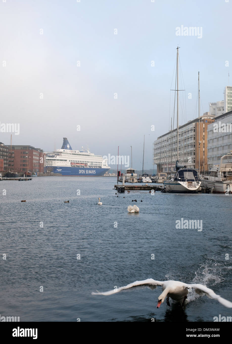 Scena dalla zona Nordhavn in Copenhagen. Foto Stock