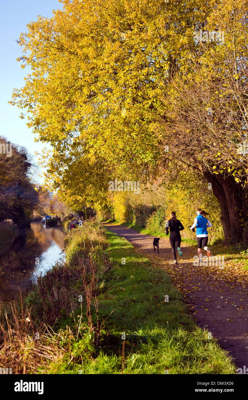 Ancora mattina autunnale sul Kennet and Avon canal a Bathampton Somerset England Regno Unito per chi ama fare jogging sulla strada alzaia Foto Stock