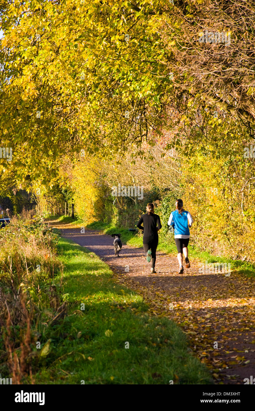 Ancora mattina autunnale sul Kennet and Avon canal a Bathampton Somerset England Regno Unito per chi ama fare jogging sulla strada alzaia Foto Stock