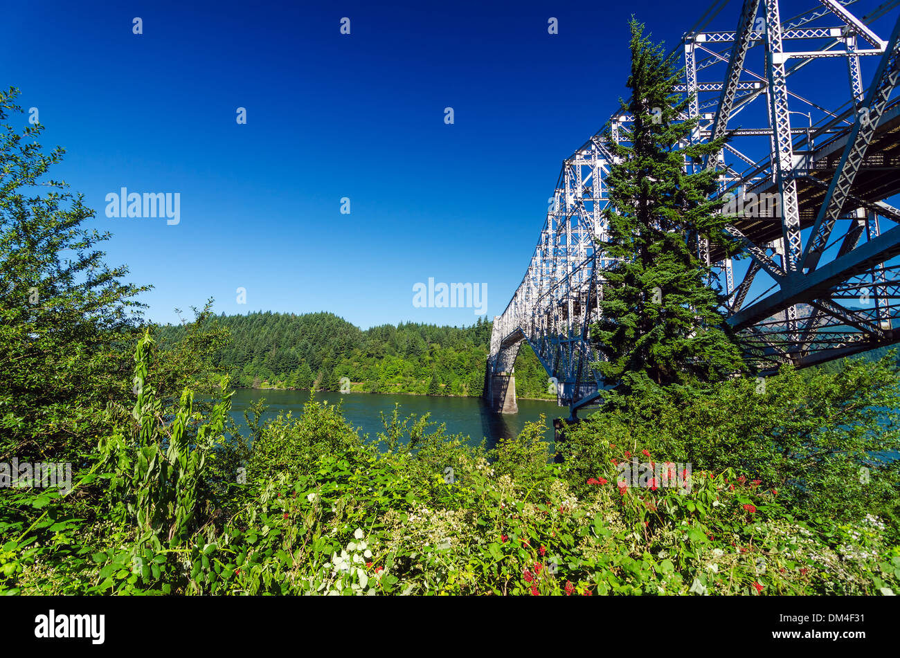 La vegetazione che circonda il ponte degli dèi il collegamento di Oregon a Washington Foto Stock